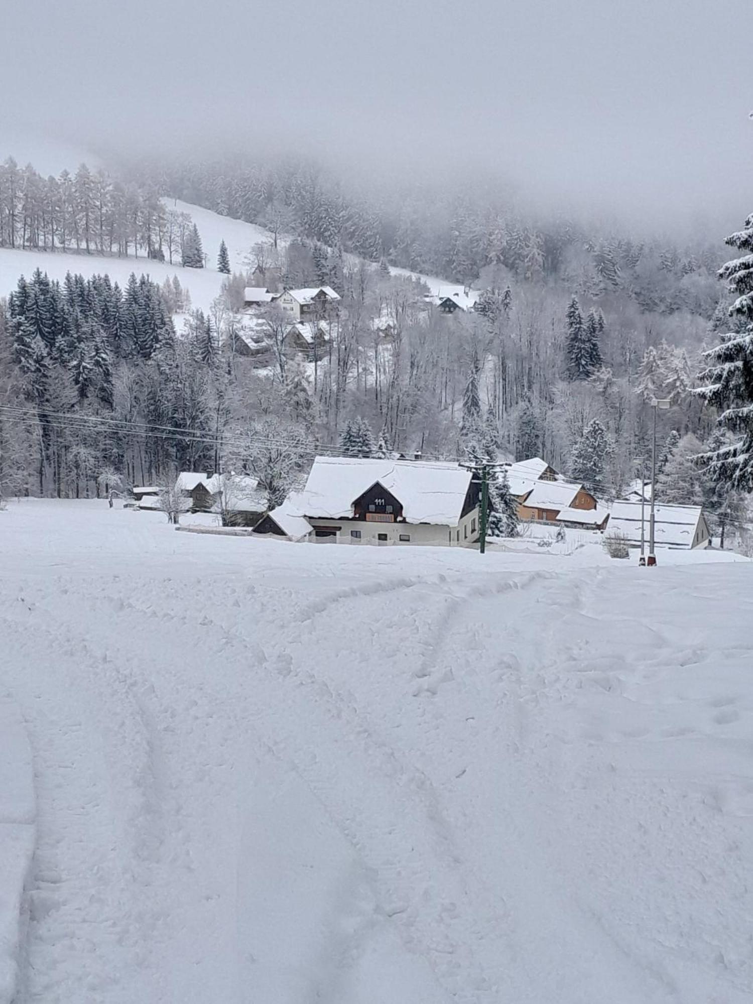 Family 2 Bedroom Ski&Bike Apartment With Terrase Janské Lázně Eksteriør billede